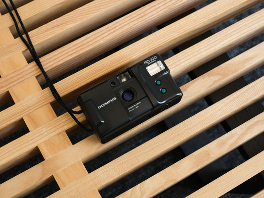 Olympus AM-100
